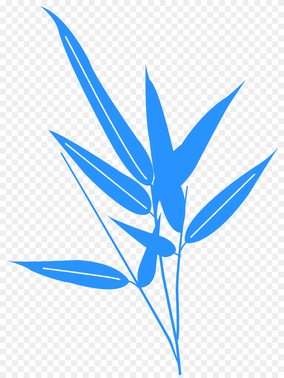 Bamboo Leaf Silhouette, Plant Free Transparent Png