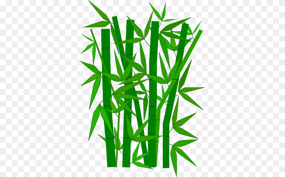 Bamboo Leaves Bamboo Clip Art Nature Teaching, Plant Free Png Download