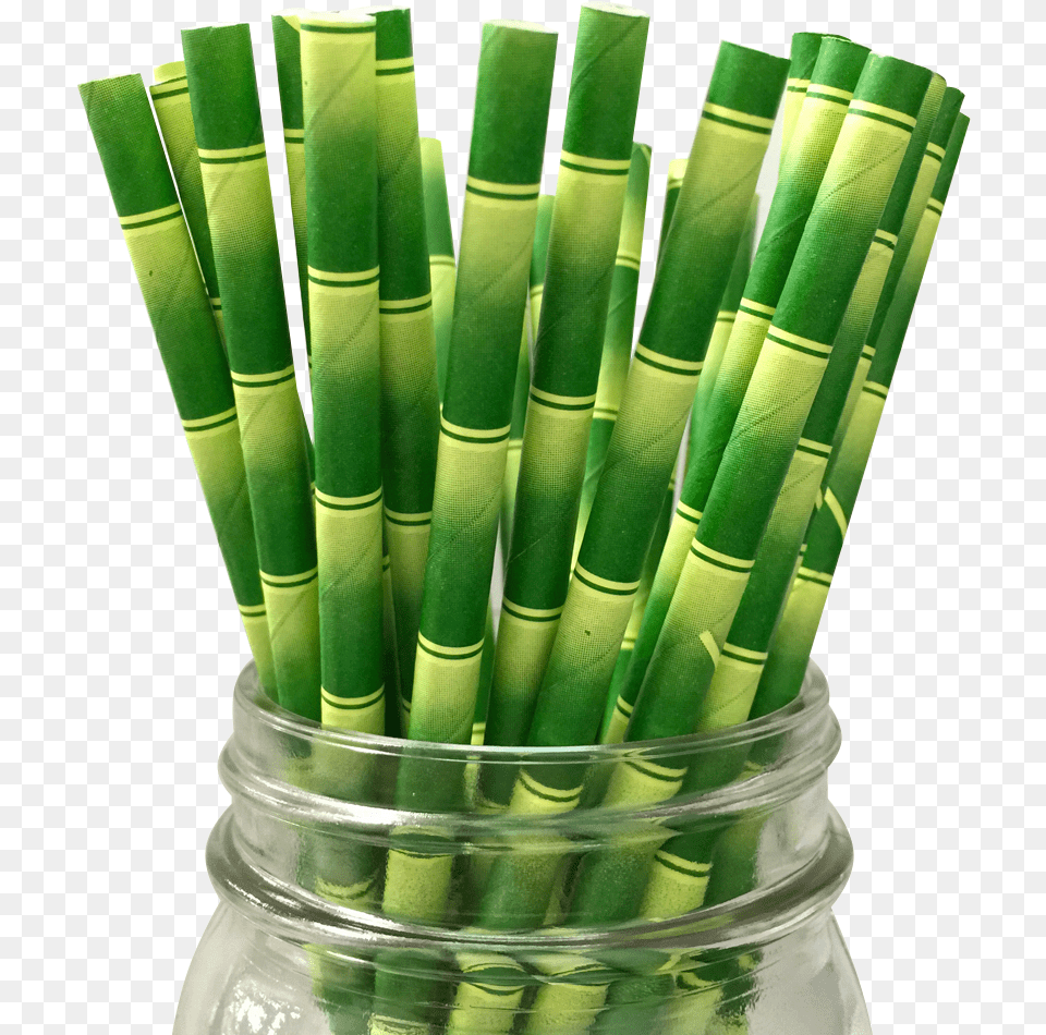 Bamboo Paper Straw Bamboo Straws Transparent Background, Plant Free Png