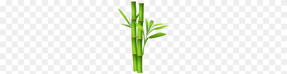 Bamboo Pattern Image, Plant, Cross, Symbol Free Transparent Png