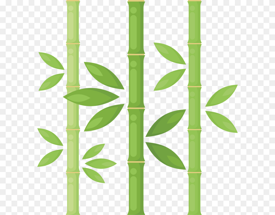 Bamboo Plants Drawing Tree Plant Stem Png Image