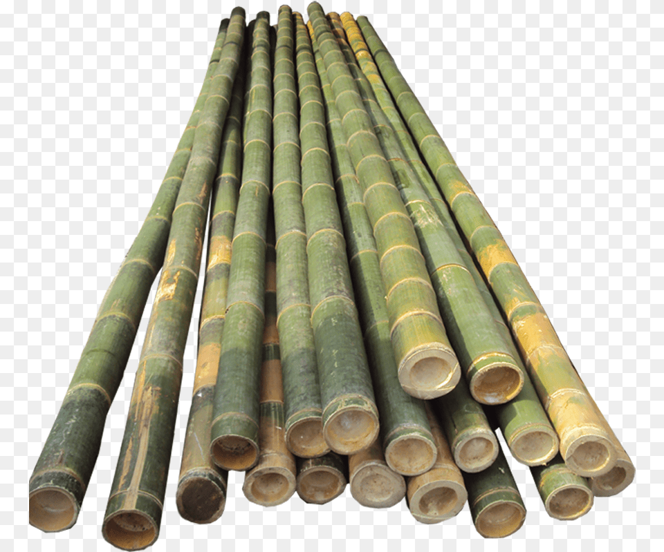 Bamboo Pole Vault Poles, Plant, Architecture, Building Free Transparent Png