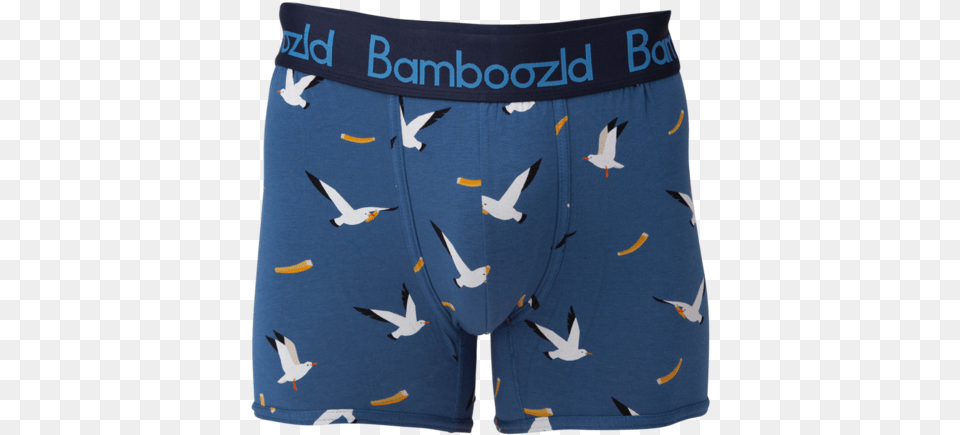 Bamboo Rose, Clothing, Underwear, Animal, Bird Png
