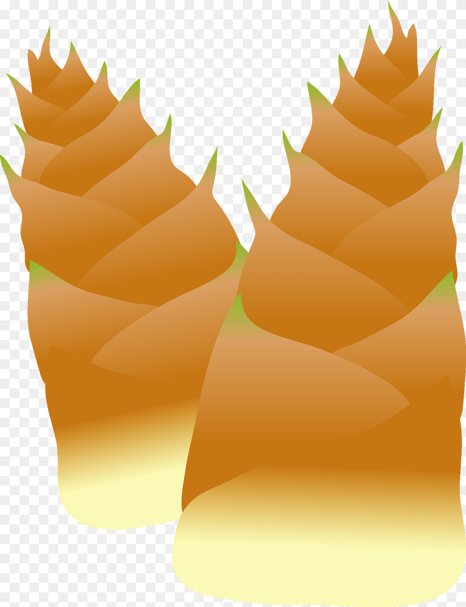 Bamboo Shoot Clipart, Vegetable, Produce, Plant, Food Png Image