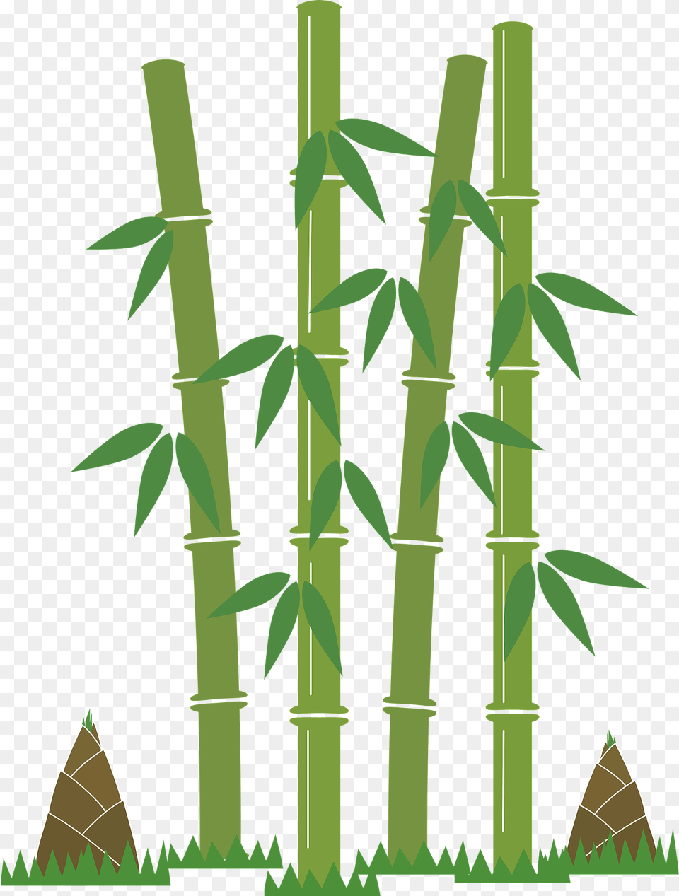 Bamboo Shoot Clipart, Plant, Cross, Symbol Free Transparent Png