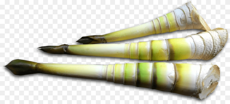 Bamboo Shoots Leek, Bamboo Shoot, Food, Plant, Produce Free Transparent Png