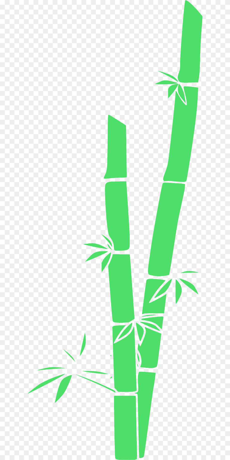 Bamboo Silhouette, Plant Png