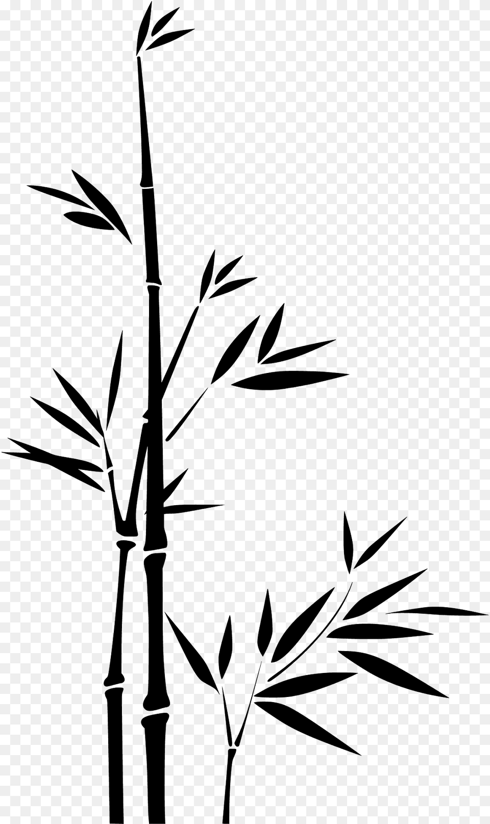 Bamboo Silhouette, Plant Free Transparent Png