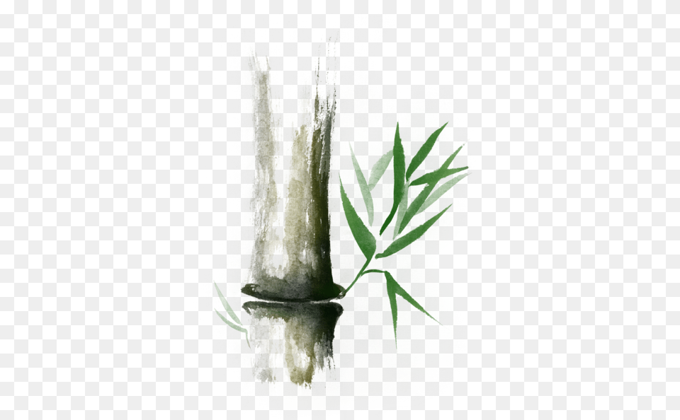 Bamboo Stalk Sumi E Oriental Zen Painting Illustration, Green, Nature, Night, Outdoors Png Image