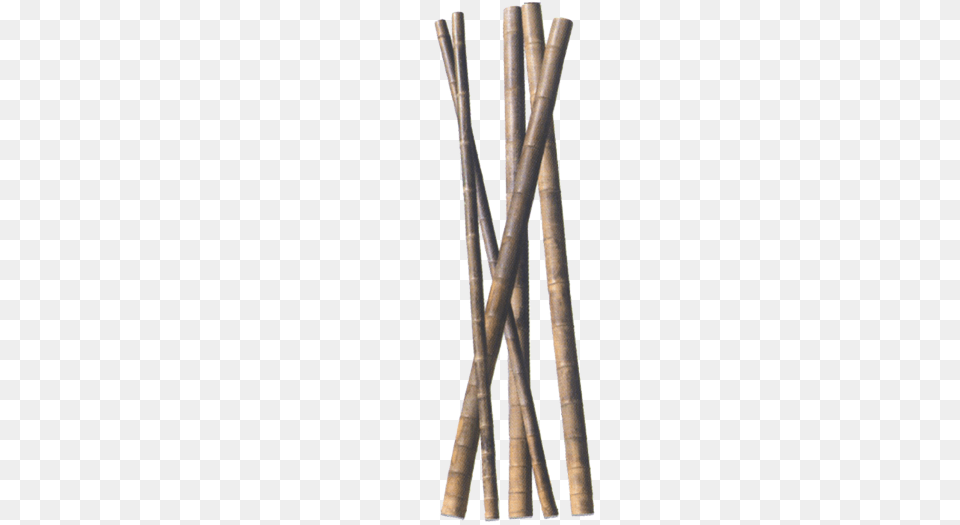 Bamboo Stick Download Free Transparent Png
