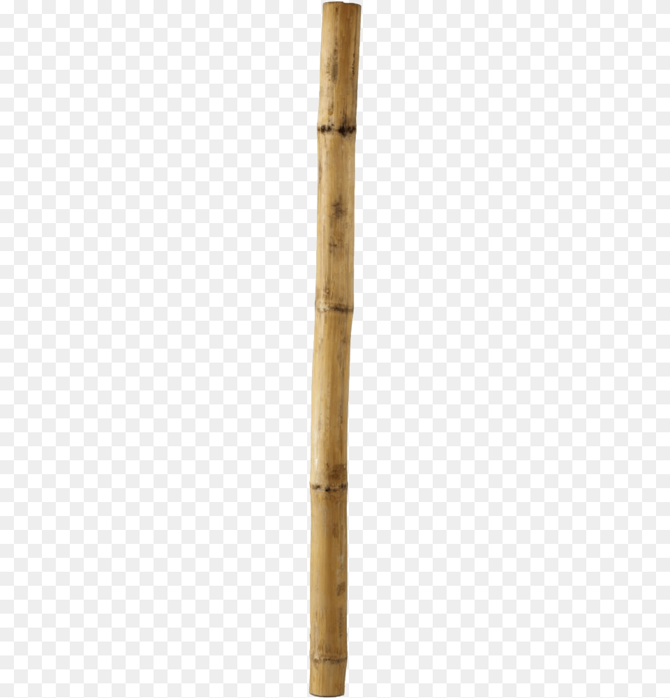 Bamboo Stick Pic Of Stick, Plant, Cane Png Image