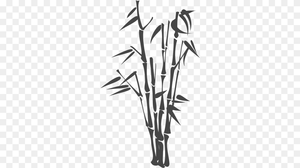 Bamboo Sticker, Plant, Person Free Transparent Png