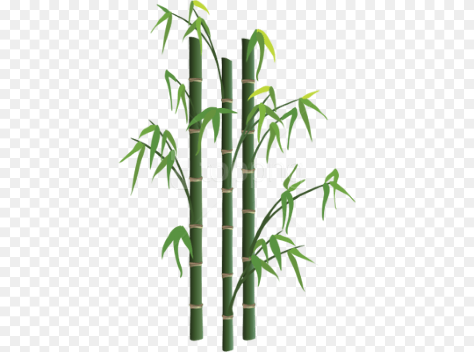 Bamboo Sticks Background Bamboo, Plant Free Png