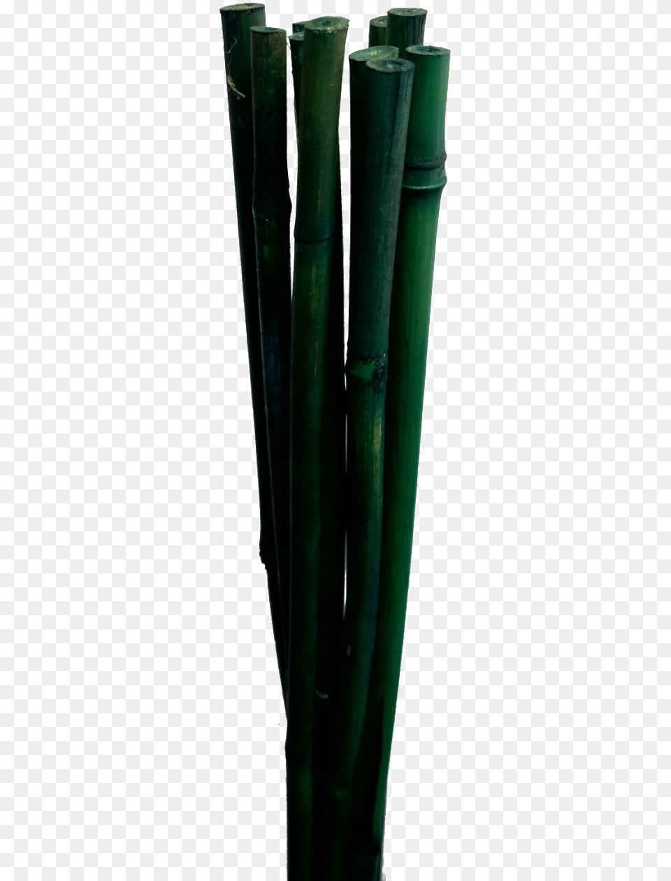 Bamboo Sticks X Vase, Plant Free Png