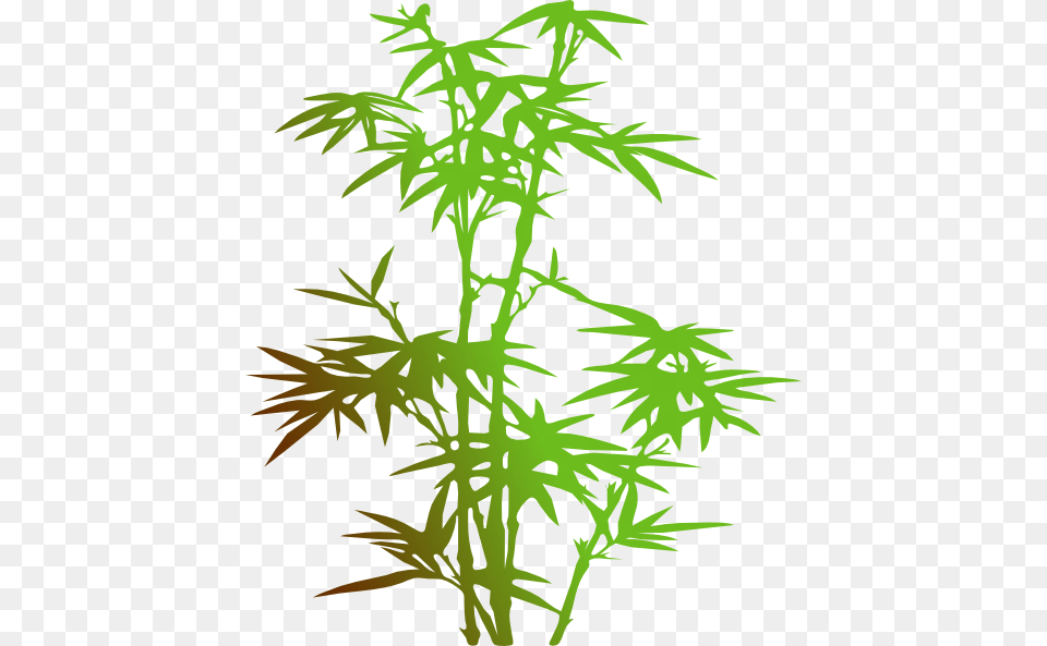 Bamboo Svg Clip Arts 510 X 593 Px, Plant, Food, Seasoning Free Transparent Png