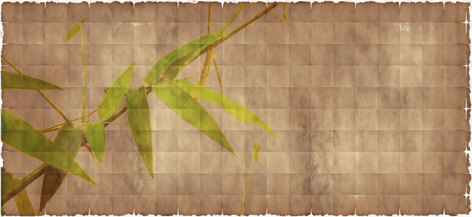 Bamboo Texture Paper, Architecture, Building, Plant, Wall Free Png