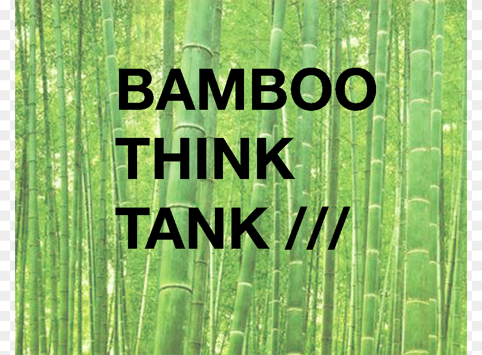Bamboo Think Tank Grass, Plant, Vegetation Free Png