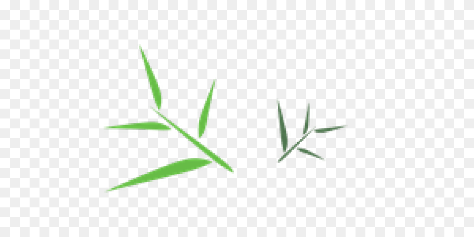 Bamboo Images Free Transparent Png