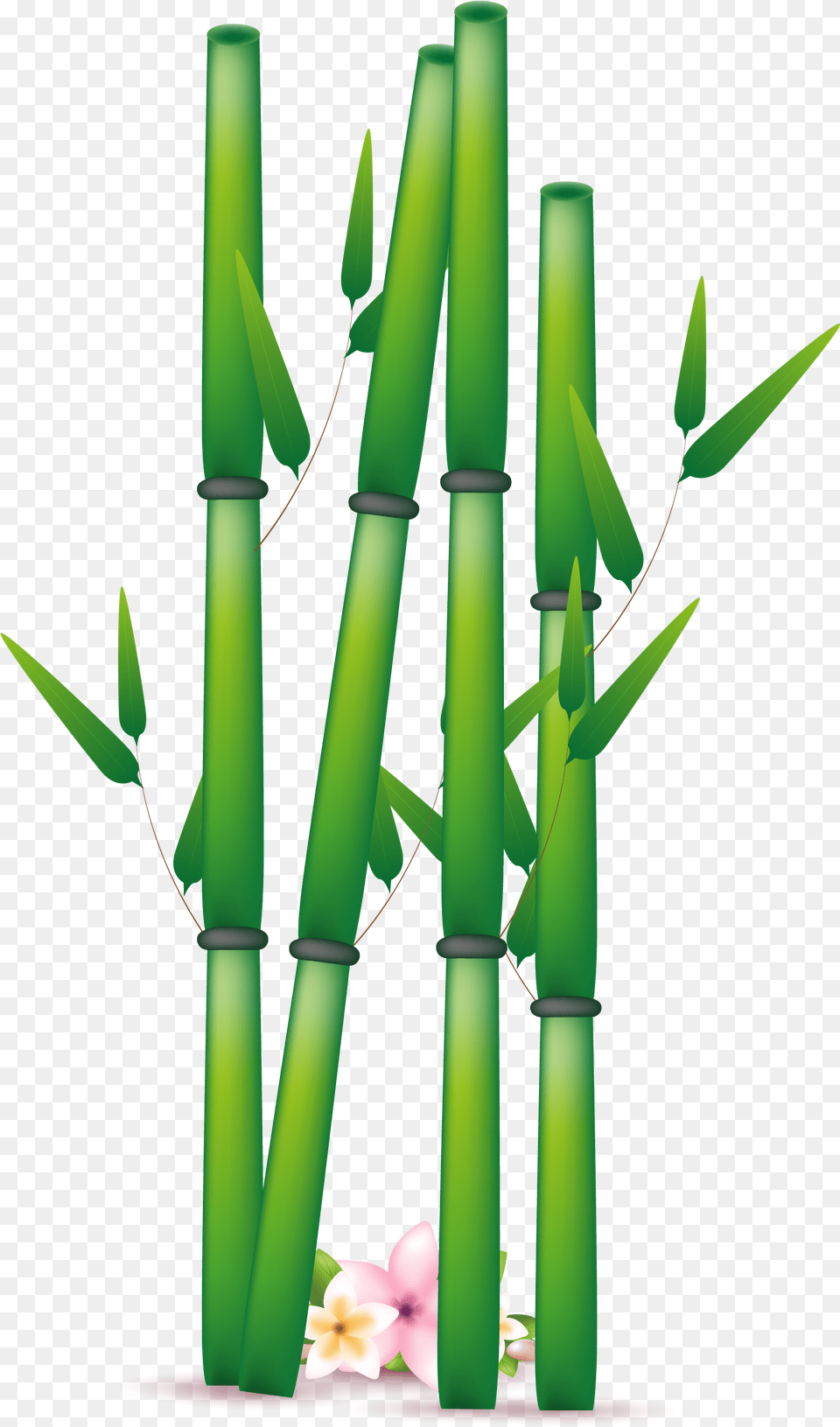 Bamboo Transparent Images Clipart Bamboo, Plant, Chandelier, Lamp Free Png