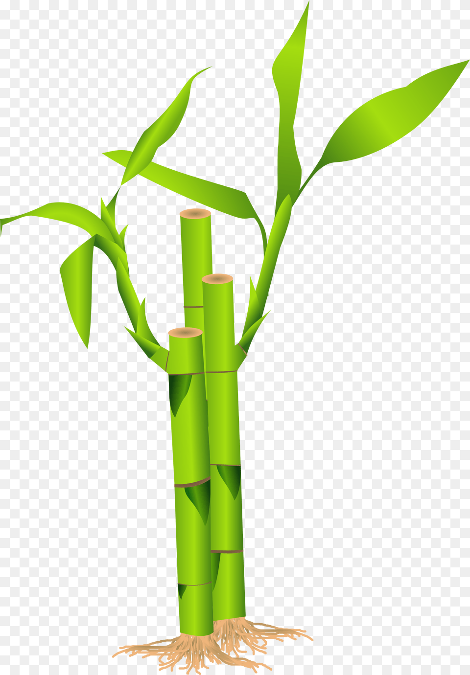 Bamboo Tree Bamboo Clipart, Plant, Dynamite, Weapon Png Image