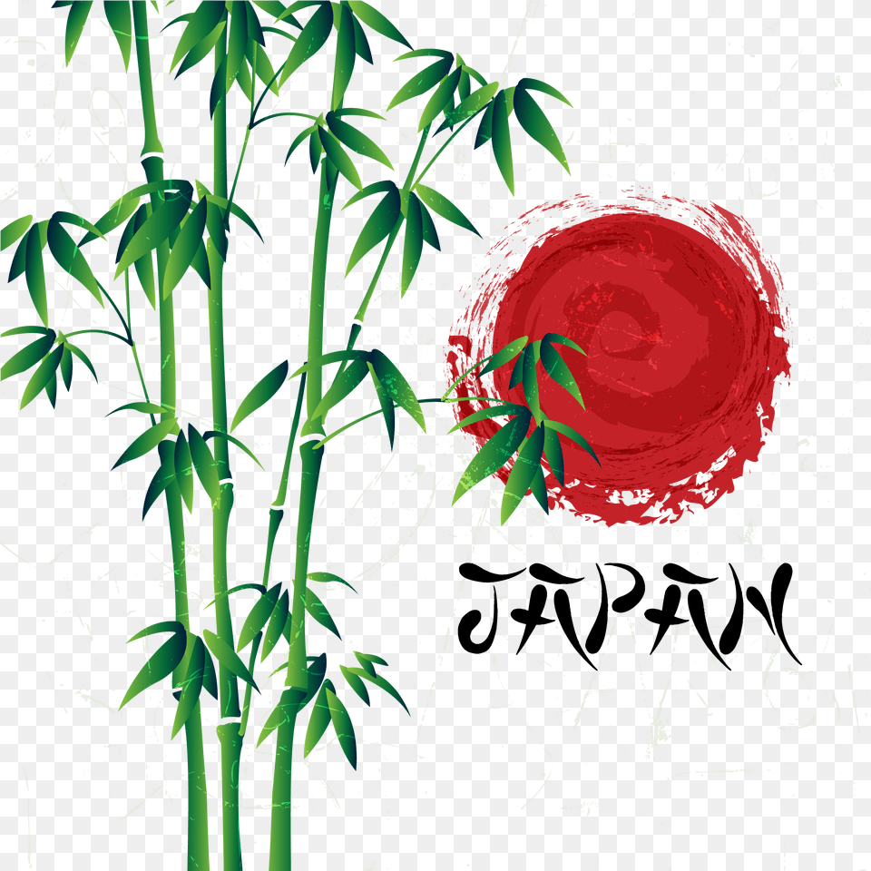 Bamboo Vector Illustrator Bamboo, Flower, Plant, Leaf Png
