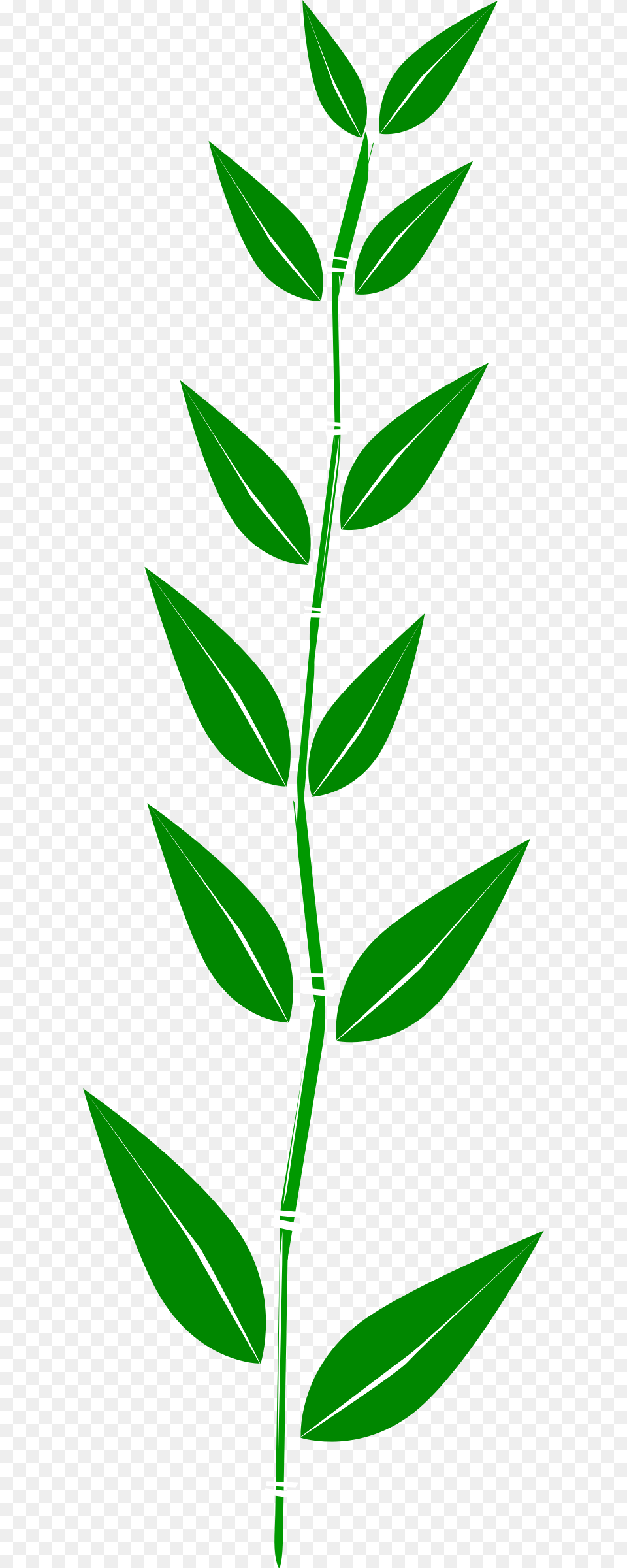 Bambooleaf Icons, Grass, Leaf, Plant, Herbal Free Transparent Png