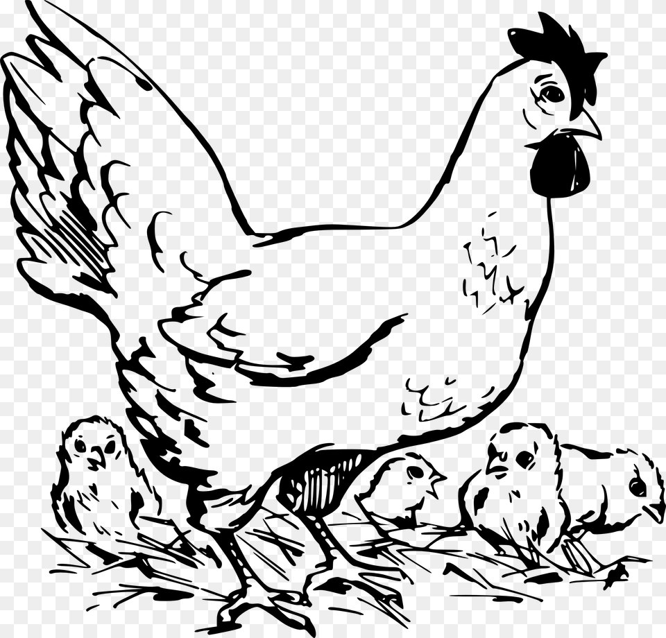 Bampw Clipart Hen Chickens Clipart Black And White, Animal, Fowl, Chicken, Bird Free Transparent Png