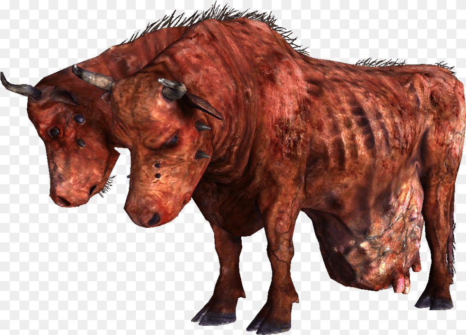 Ban Appeal For The Yeetster Ttt Harrysmod Fallout New Vegas Brahmin, Animal, Bull, Mammal, Cattle Free Transparent Png