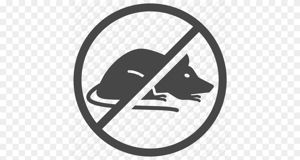 Ban Control Insect Mice Pest Pest Control Rat Icon, Animal, Canine, Mammal Png Image