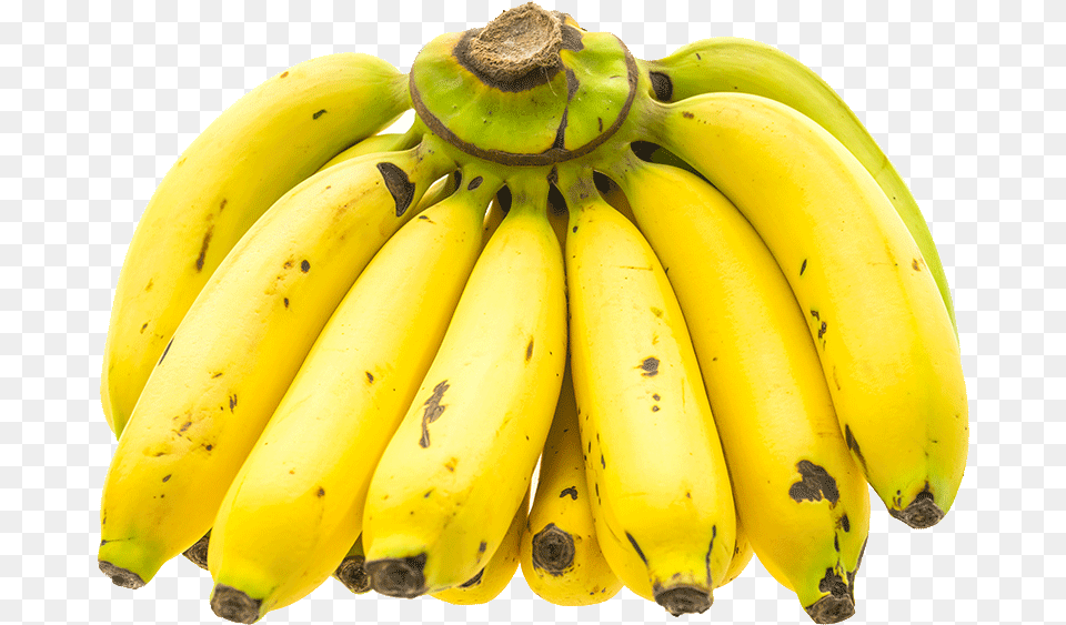 Banana, Food, Fruit, Plant, Produce Free Png