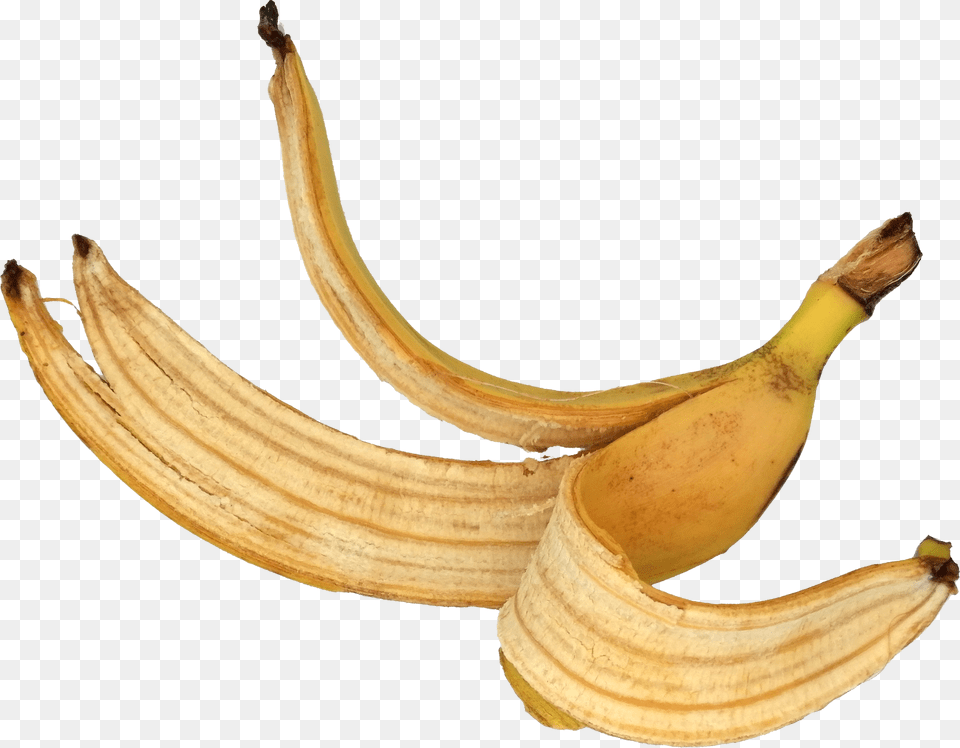 Banana 4 Matoke, Food, Fruit, Plant, Produce Free Transparent Png