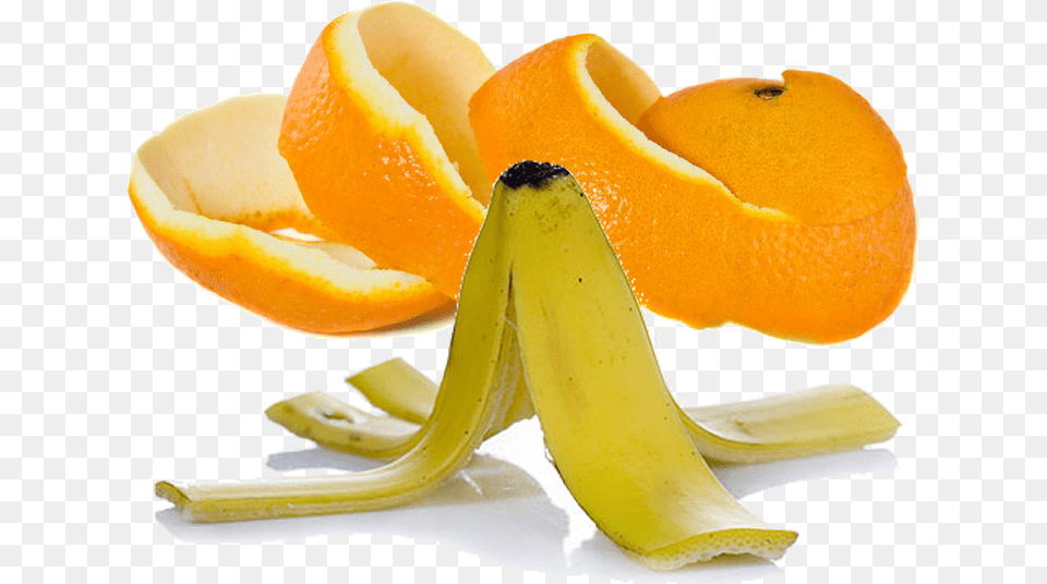 Banana And Orange Peel, Citrus Fruit, Food, Fruit, Plant Free Png Download