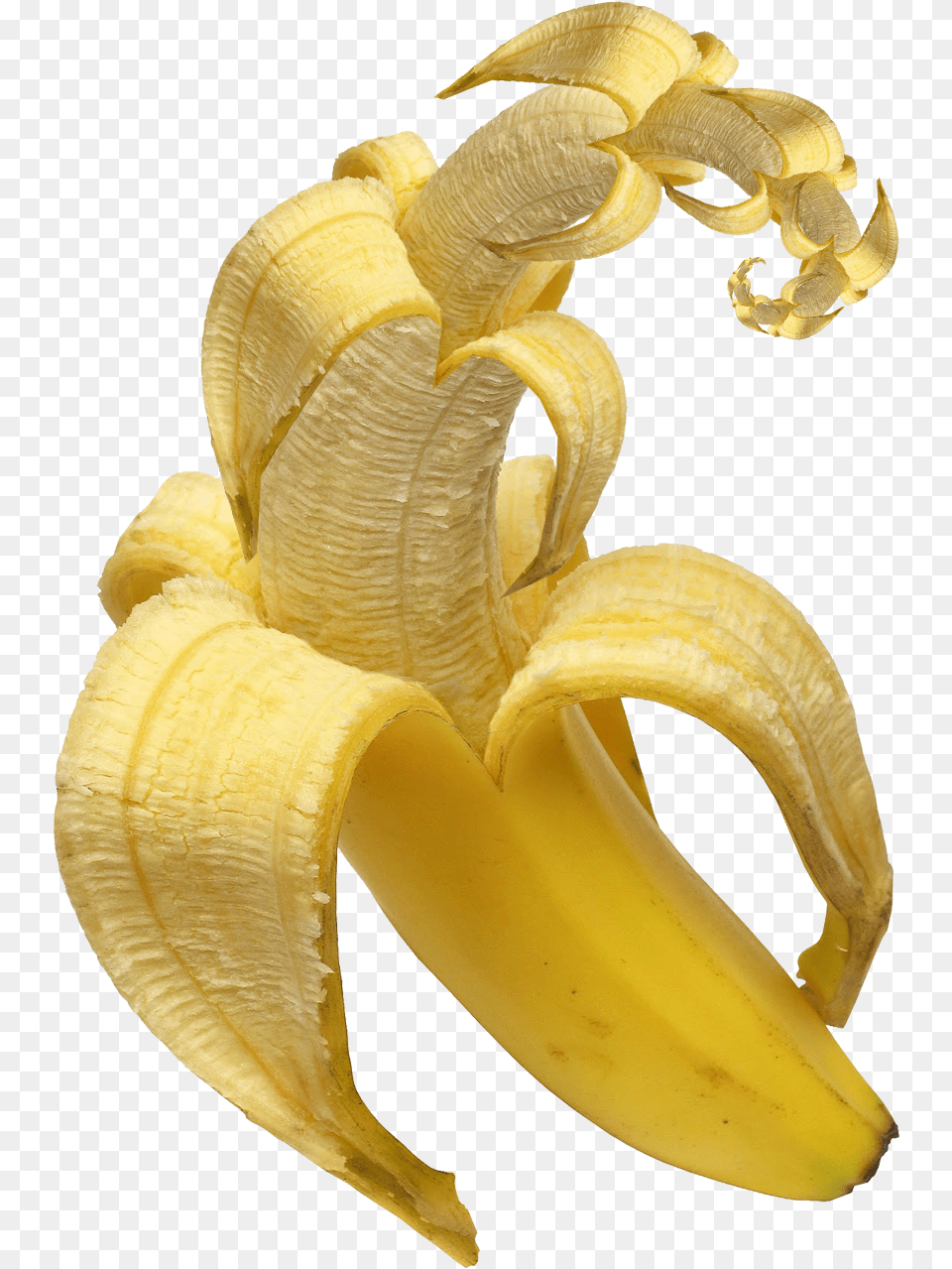 Banana Banana Family Fruit Food Produce Inside Of A Banana, Plant Png