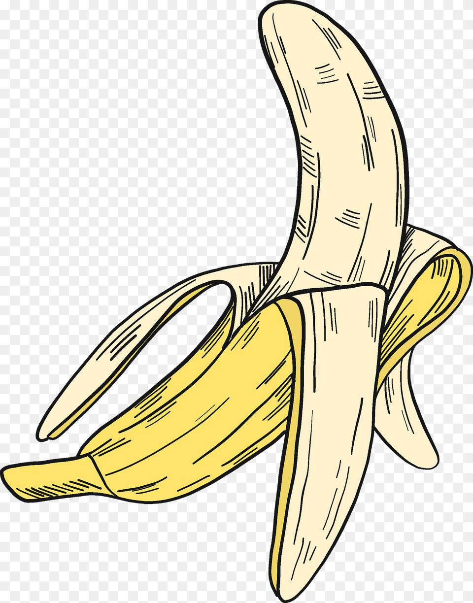 Banana Clipart, Food, Fruit, Plant, Produce Free Png