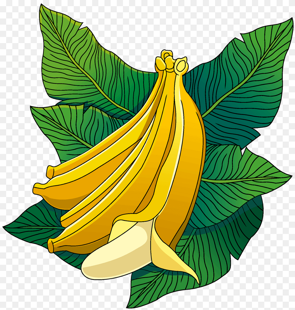 Banana Clipart, Food, Fruit, Leaf, Plant Free Png