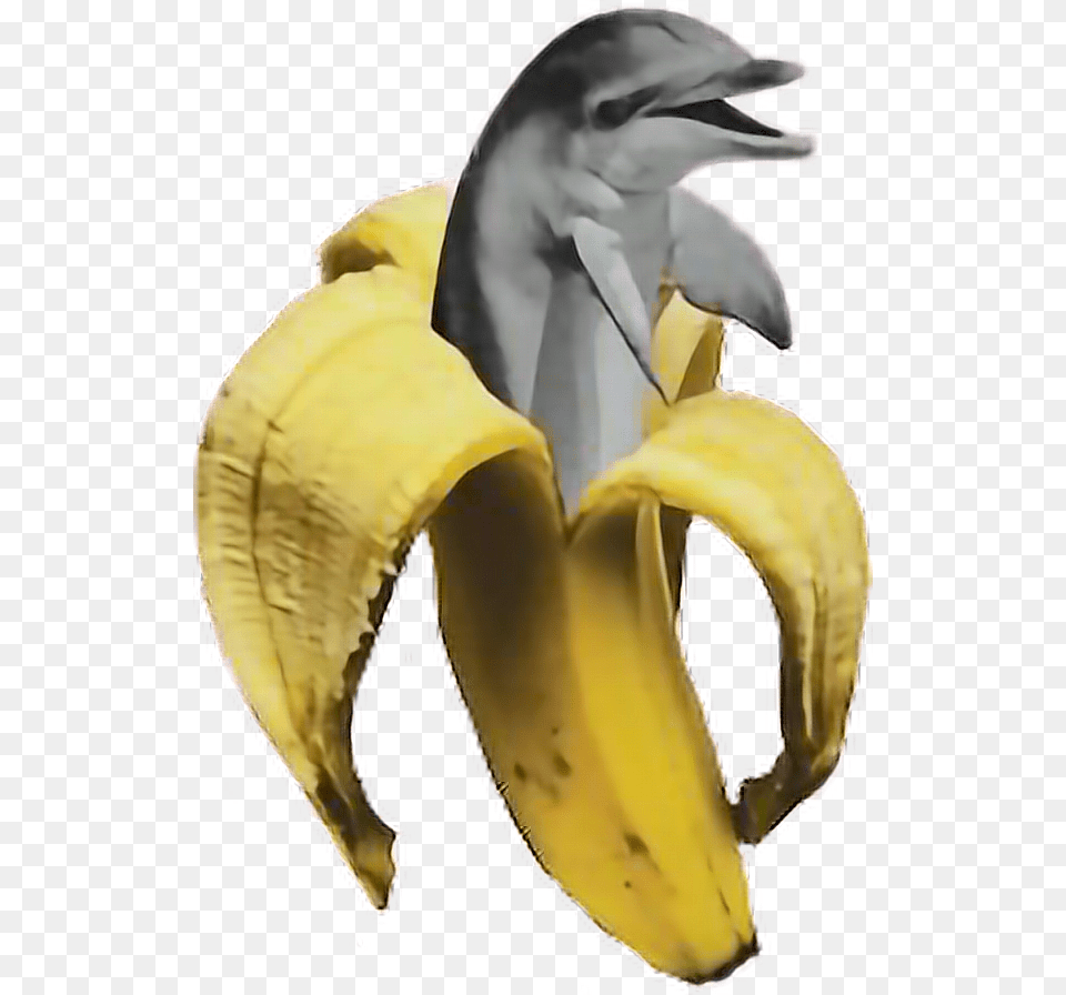 Banana Dolphin Vaporwave Freetoedit Aesthetic Banana, Food, Fruit, Plant, Produce Png Image