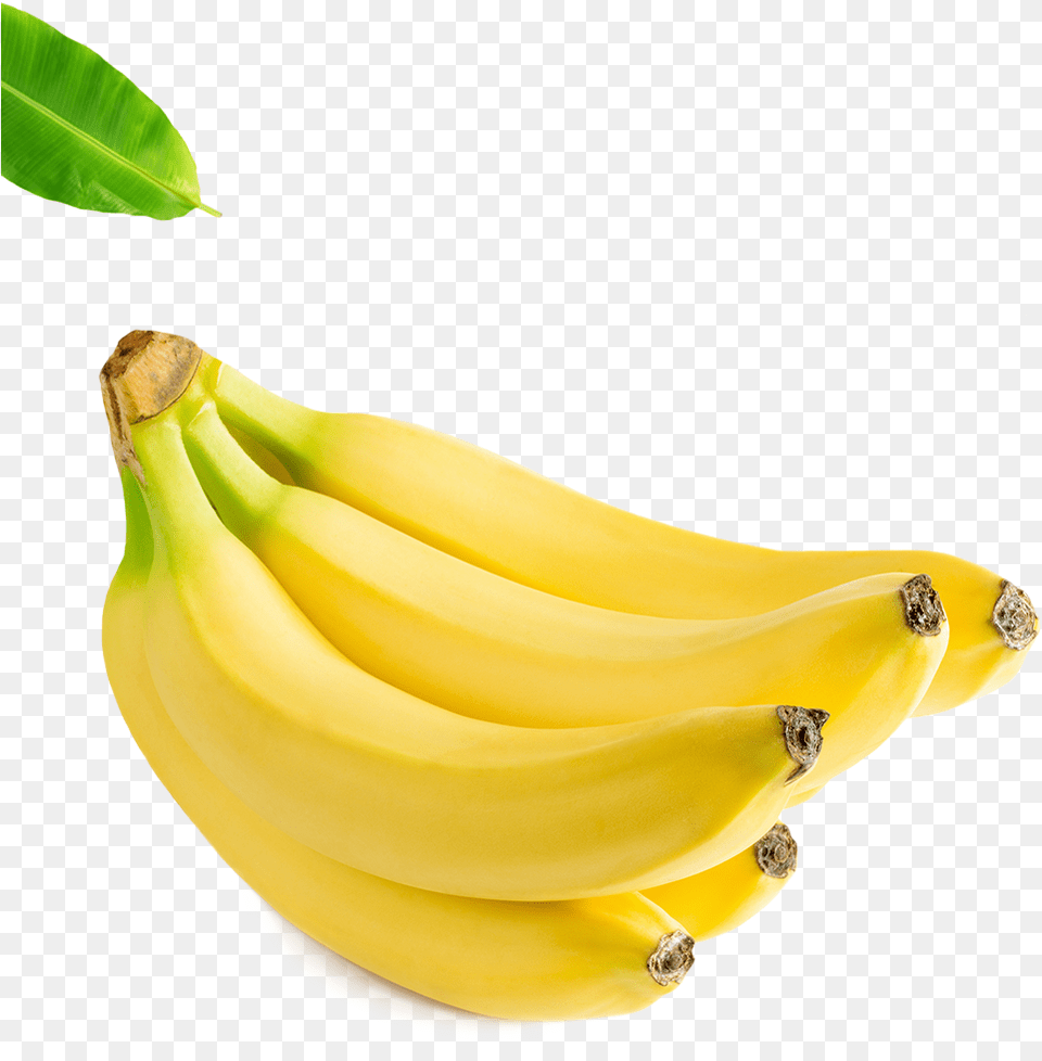 Banana Home Section Saba Banana, Food, Fruit, Plant, Produce Png