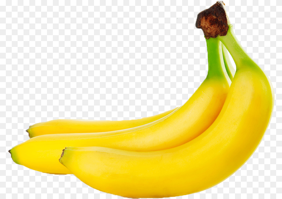 Banana Fruits With White Background, Food, Fruit, Plant, Produce Png Image