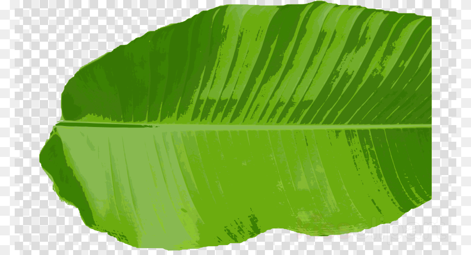Banana Leaf Clipart Banana Leaf Clip Art Clip Art, Plant Free Transparent Png
