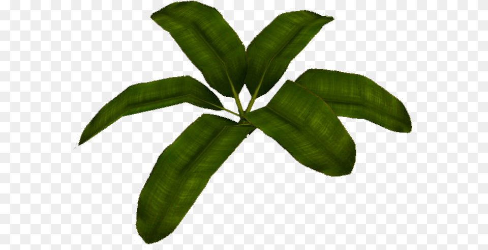 Banana Leaf Clipart Herbaceous Plant, Food, Fruit, Produce, Tree Png Image