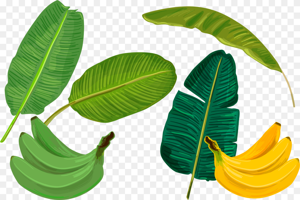 Banana Leaf Sadhya Transprent Banana Cartoon Leaves, Food, Fruit, Plant, Produce Png