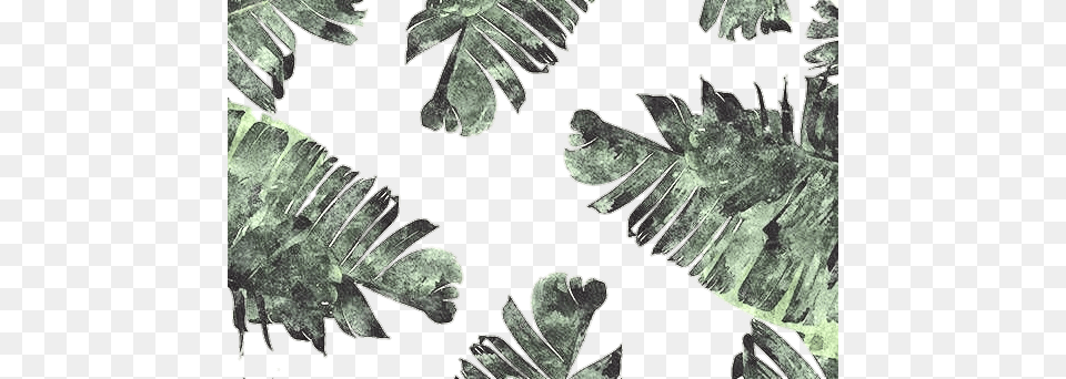 Banana Leaf Watercolor Throw Blanket, Plant, Moss, Vegetation, Fern Free Png