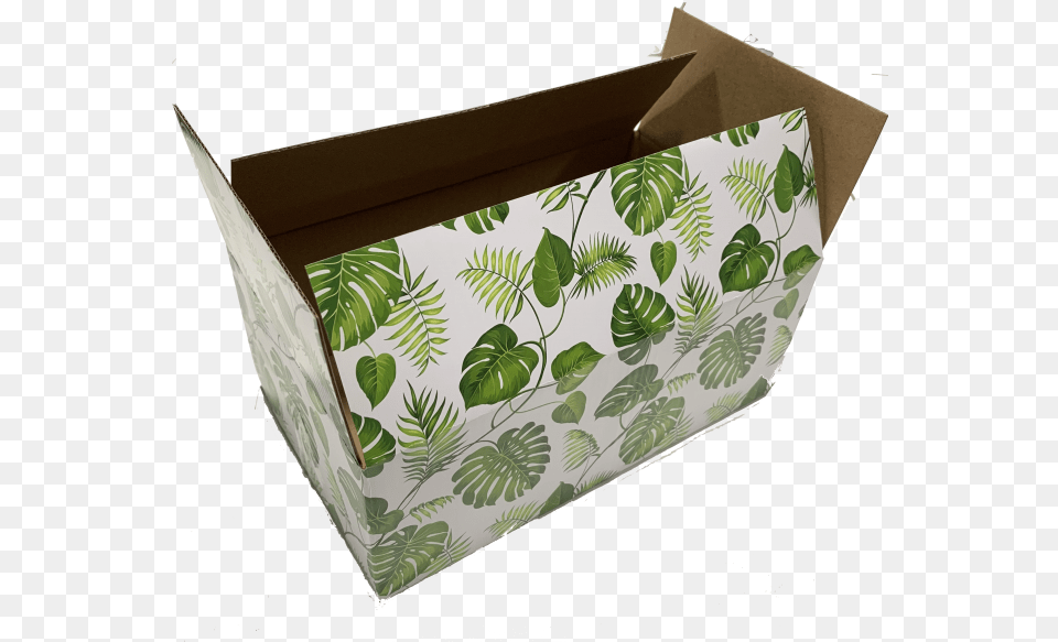 Banana Leaves Designer Boxes Box, Cardboard, Carton, Leaf, Plant Png Image