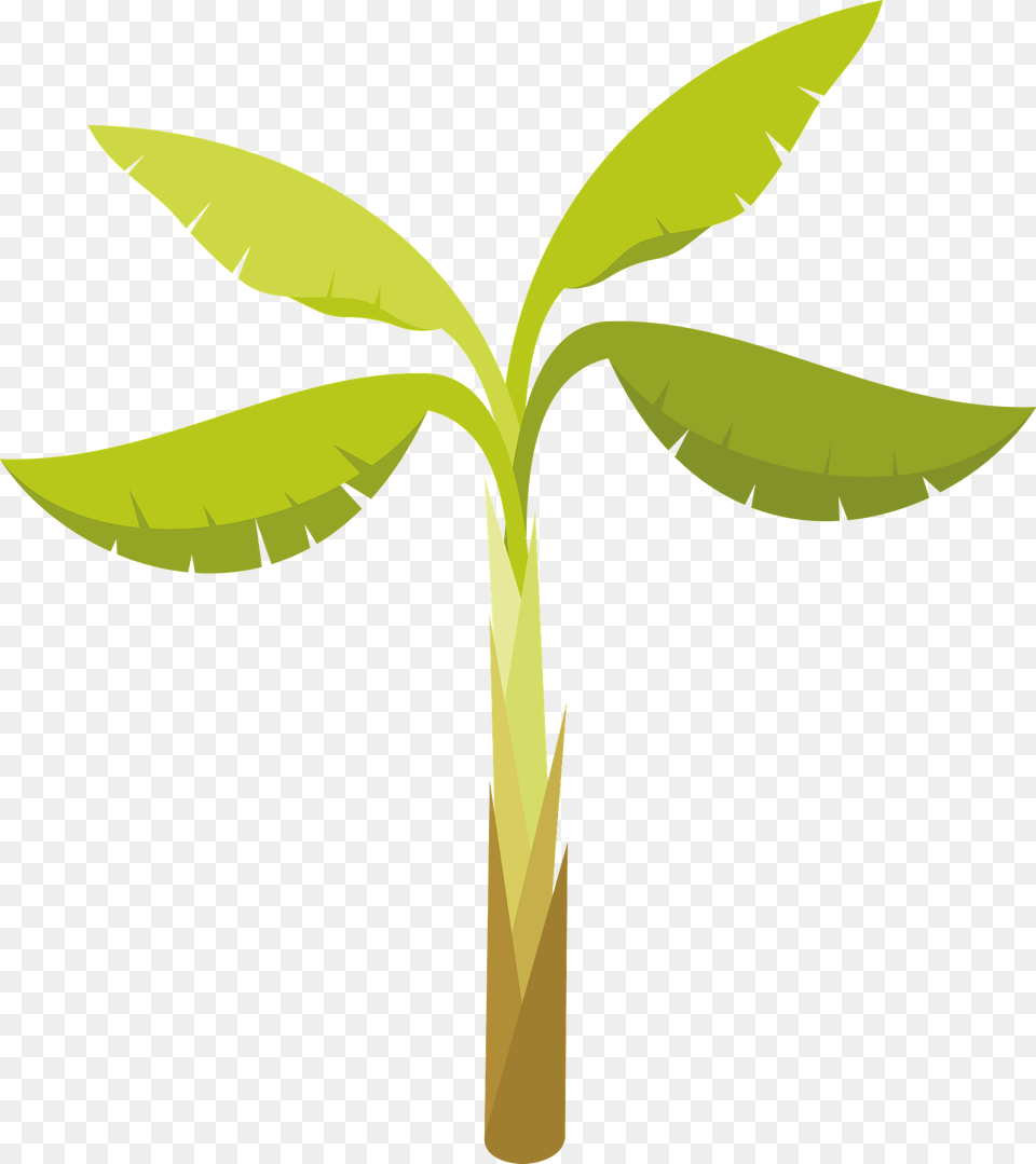 Banana Palm Clipart, Leaf, Plant, Animal, Fish Free Png Download