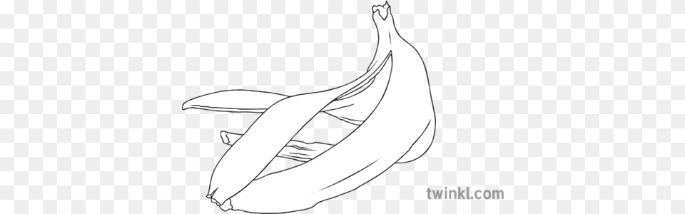 Banana Peel Geography Disposable Waste Food Secondary Bw Rgb Line Art, Fruit, Plant, Produce Free Png