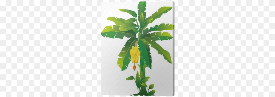 Banana Plant Clipart, Food, Fruit, Produce, Leaf Free Png
