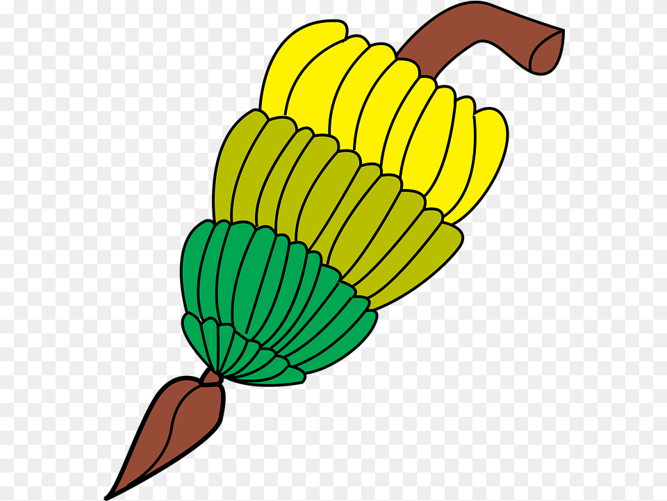 Banana Plant Cliparts 15 Buy Clip Art Bananas Clipart Jantung Pisang Vector, Food, Fruit, Produce Free Png