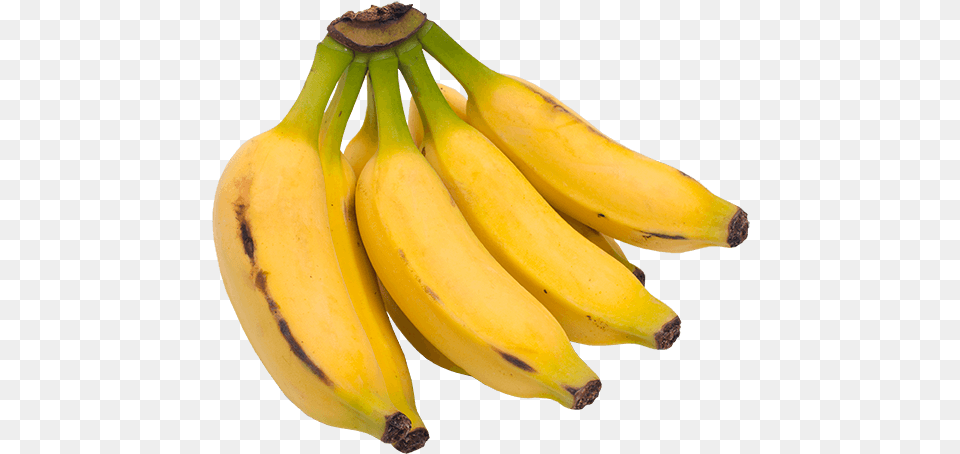 Banana Prata Banana Prata, Food, Fruit, Plant, Produce Png