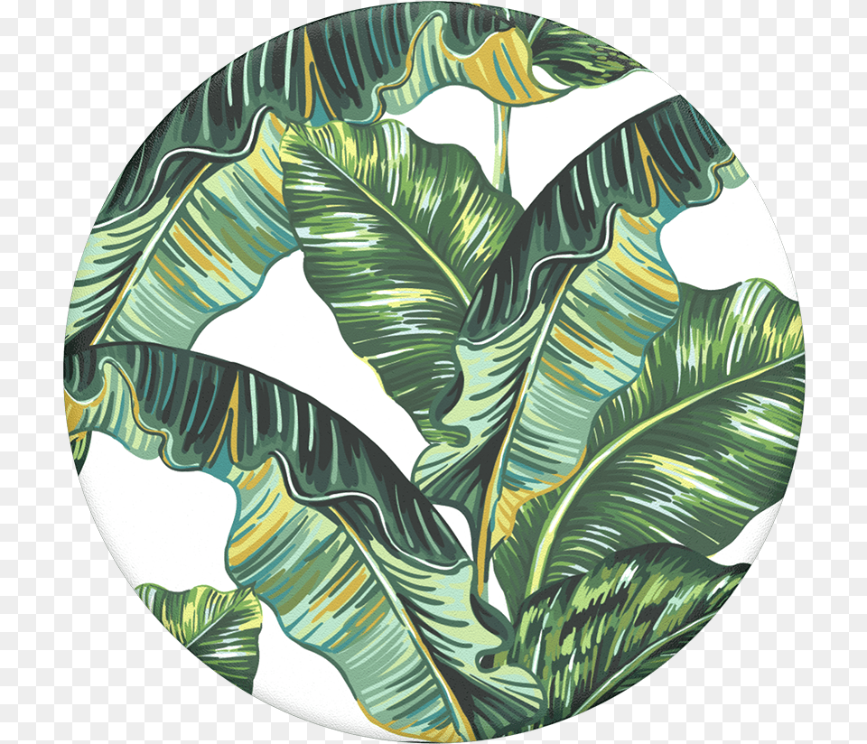 Banana Republican Popsocket, Leaf, Plant, Vegetation, Sphere Png Image
