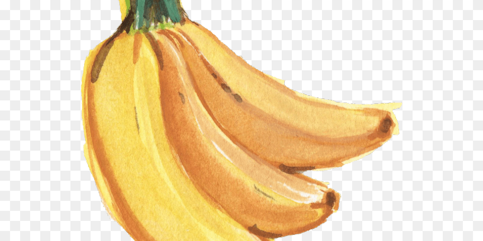 Banana Transparent Banana Fruit Watercolor, Food, Plant, Produce Png Image